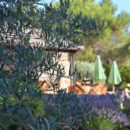 Le Jas De Joucas Hotel-Restaurant Екстериор снимка