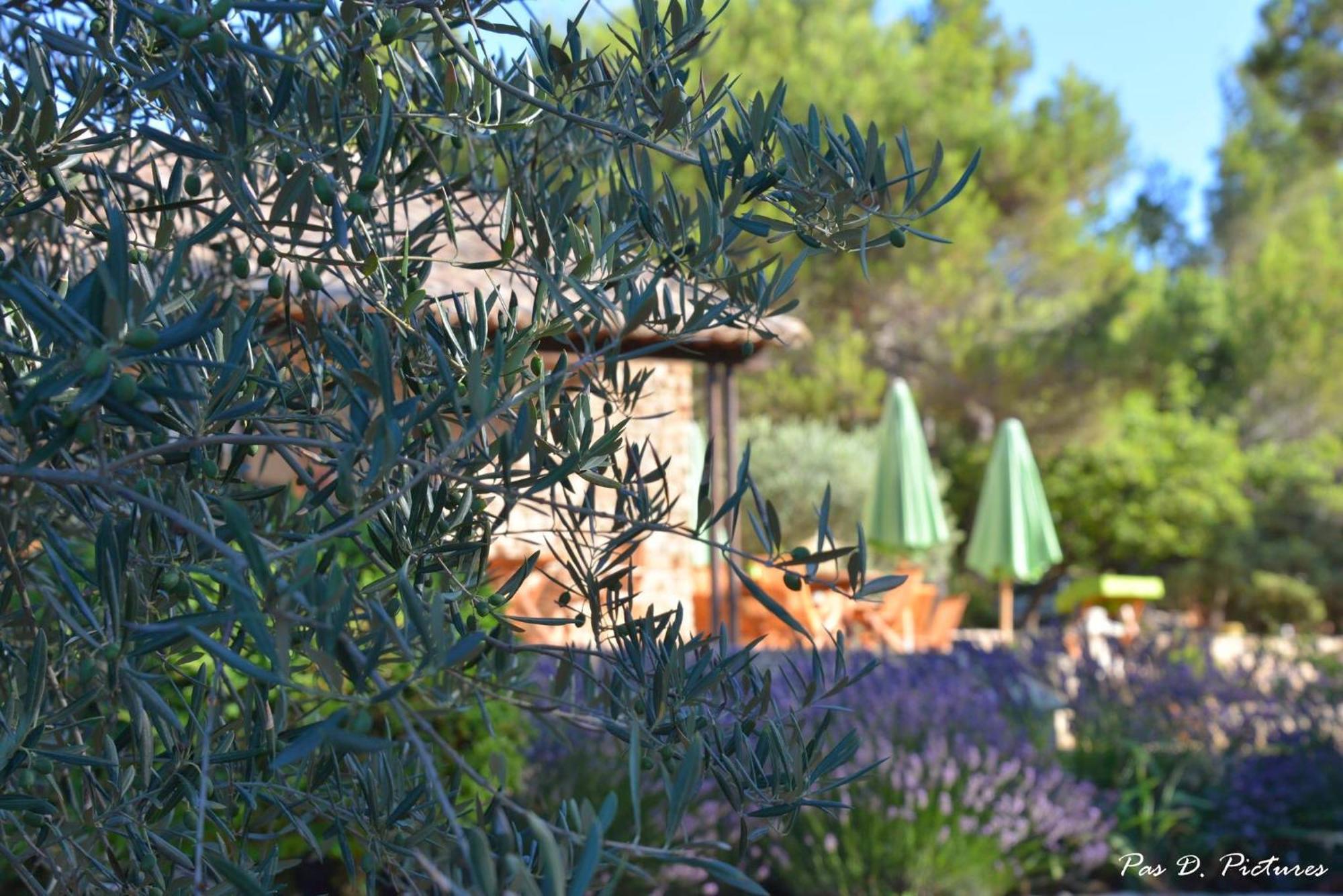 Le Jas De Joucas Hotel-Restaurant Екстериор снимка